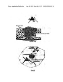 SILVER NANOPLATES diagram and image