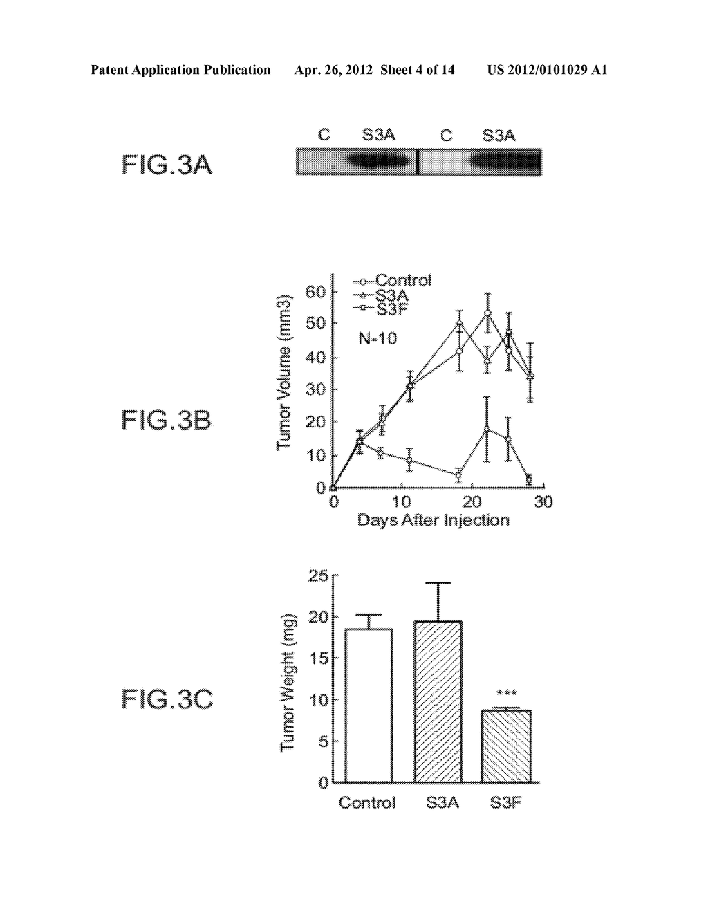 COMPOSITIONS COMPRISING SEMAPHORINS FOR THE TREATMENT OF ANGIOGENESIS     RELATED DISEASES AND METHODS OF SELECTION THEREOF - diagram, schematic, and image 05