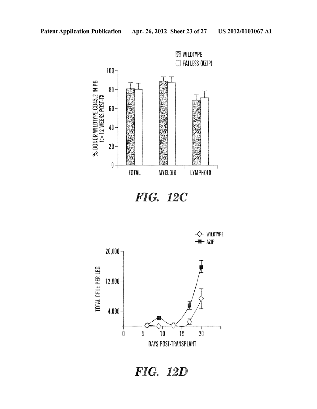 METHODS FOR ENHANCING HEMATOPOIETIC PROGENITOR CELL ENGRAFTMENT - diagram, schematic, and image 24