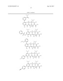 SubstitutedTetracycline Compounds for the Treatment of Malaria diagram and image