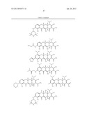 SubstitutedTetracycline Compounds for the Treatment of Malaria diagram and image