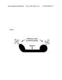 Generation of Combinatorial Synthetic Libraries and Screening for Novel     Proadhesins and Nonadhesins diagram and image