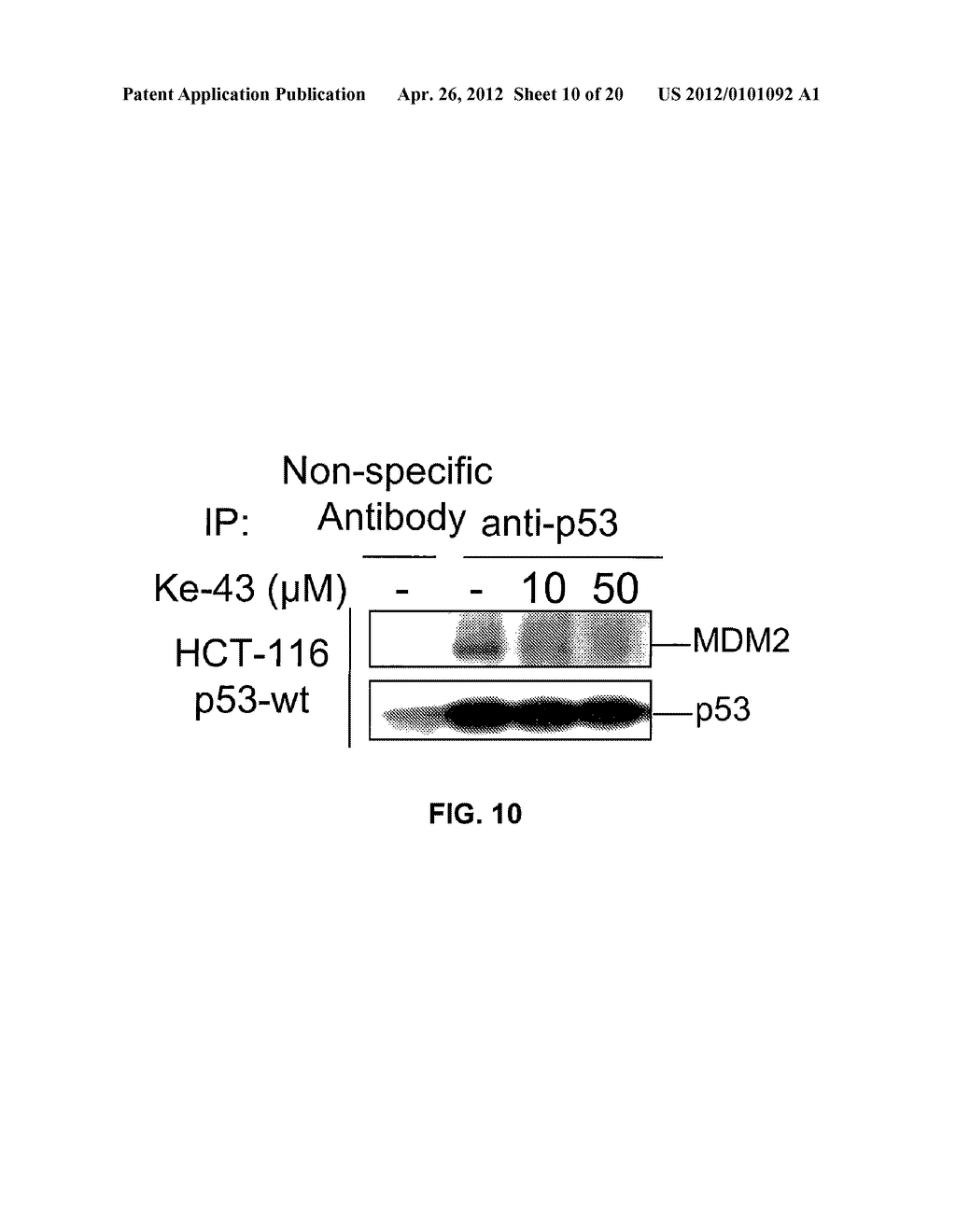 SMALL MOLECULE INHIBITORS OF MDM2 AND THE USES THEREOF - diagram, schematic, and image 11