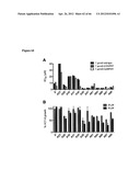 Compounds and Methods for Treating Mammalian Gastrointestinal Microbial     Infections diagram and image