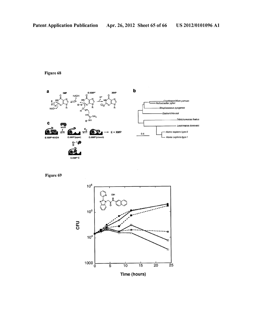 Compounds and Methods for Treating Mammalian Gastrointestinal Microbial     Infections - diagram, schematic, and image 66