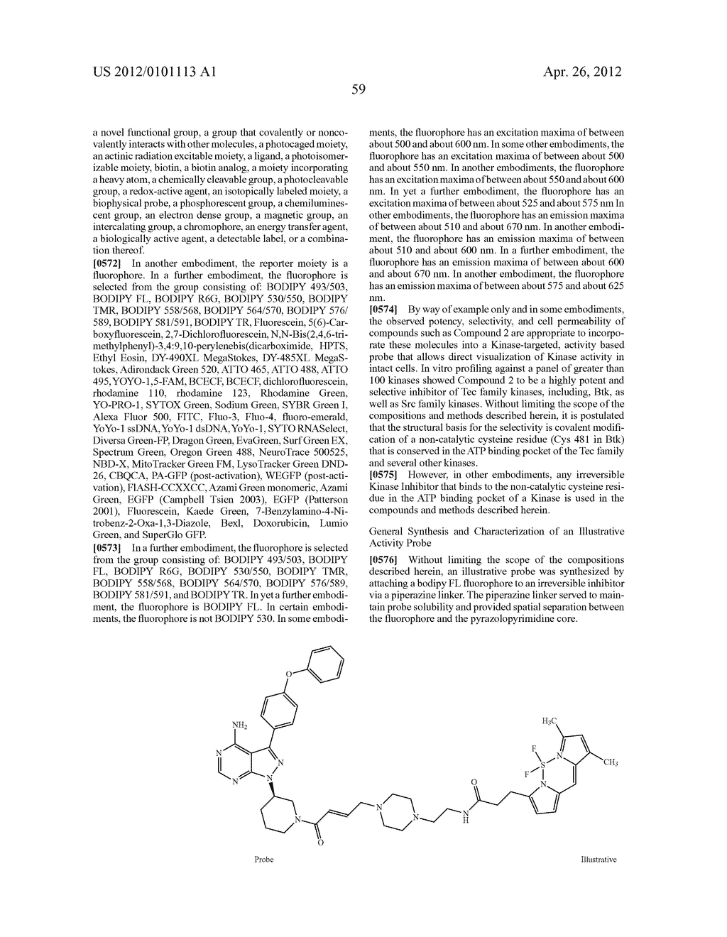 INHIBITORS OF BRUTON'S TYROSINE KINASE - diagram, schematic, and image 67