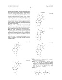 INHIBITORS OF BRUTON S TYROSINE KINASE diagram and image