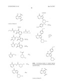 INHIBITORS OF BRUTON S TYROSINE KINASE diagram and image