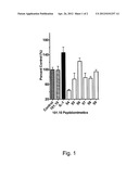 PROCESSES FOR PREPARING AMINO-SUBSTITUTED GAMMA-LACTAMS diagram and image