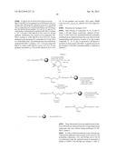 PROCESSES FOR PREPARING AMINO-SUBSTITUTED GAMMA-LACTAMS diagram and image