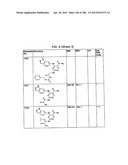 INHIBITORS OF SYK AND JAK PROTEIN KINASES diagram and image