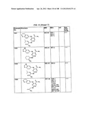 INHIBITORS OF SYK AND JAK PROTEIN KINASES diagram and image