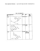 INHIBITORS OF SYK AND JAK PROTEIN KINASES diagram and image