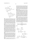 INHIBITORS OF SYK AND JAK PROTEIN KINASES diagram and image