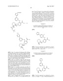 INHIBITORS OF SYK AND JAK PROTEIN KINASES diagram and image