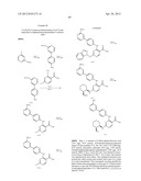 INHIBITORS OF SYK AND JAK PROTEIN KINASES diagram and image