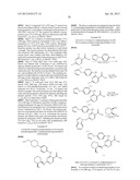 INHIBITORS OF SYK AND JAK PROTEIN KINASES diagram and image