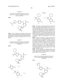 INHIBITORS OF SYK AND JAK PROTEIN KINASES diagram and image