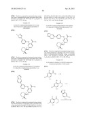 INHIBITORS OF SYK AND JAK PROTEIN KINASES diagram and image