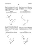 INHIBITORS OF SYK AND JAK PROTEIN KINASES diagram and image