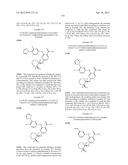 INHIBITORS OF SYK AND JAK PROTEIN KINASES diagram and image