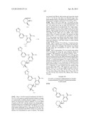 INHIBITORS OF SYK AND JAK PROTEIN KINASES diagram and image