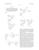 INHIBITORS OF SYK AND JAK PROTEIN KINASES diagram and image