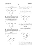 INHIBITORS OF SYK AND JAK PROTEIN KINASES diagram and image