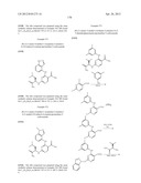 INHIBITORS OF SYK AND JAK PROTEIN KINASES diagram and image