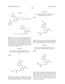 INHIBITORS OF SYK AND JAK PROTEIN KINASES diagram and image