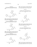 INHIBITORS OF SYK AND JAK PROTEIN KINASES diagram and image