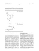 INHIBITORS OF SYK AND JAK PROTEIN KINASES diagram and image