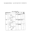 INHIBITORS OF SYK AND JAK PROTEIN KINASES diagram and image