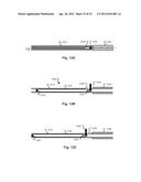 Device for Capsule Retrieval diagram and image