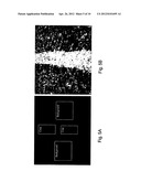 SYSTEM FOR VEHICULAR GUIDANCE WITH RESPECT TO HARVESTED CROP diagram and image