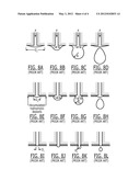 Fluid Nutrient Delivery System and Associated Methods diagram and image