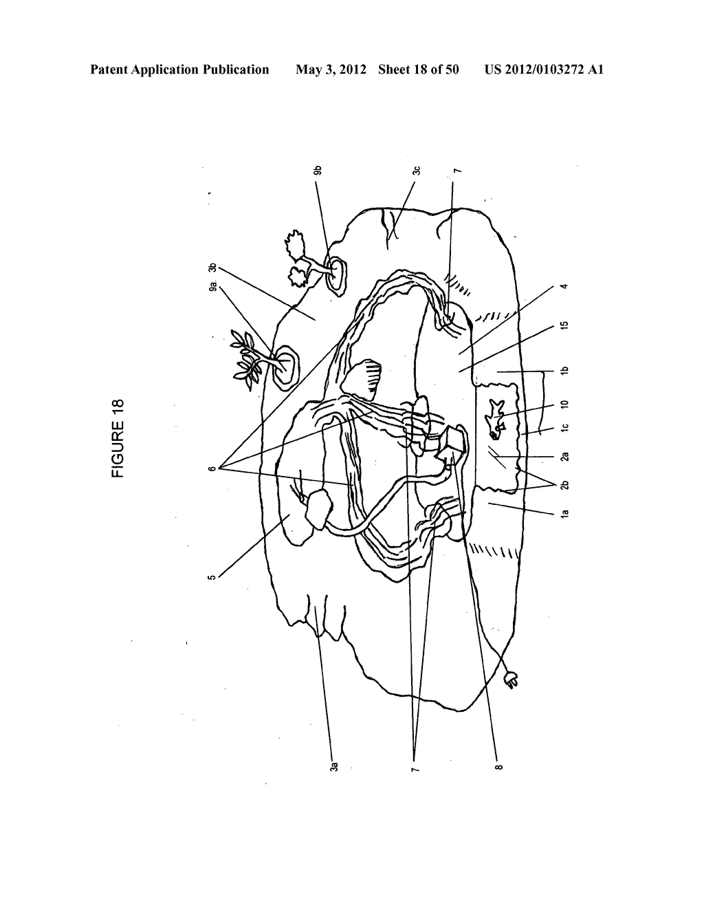 Microcosm terrestrial and aquatic landscape habitat:  A freestanding     