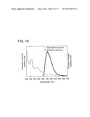 ORGANIC COMPOUND, ANTHRACENE DERIVATIVE, AND LIGHT-EMITTING ELEMENT,     LIGHT-EMITTING DEVICE, AND ELECTRONIC DEVICE USING ANTHRACENE DERIVATIVE diagram and image