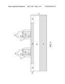 REPLACEMENT GATE MOSFET WITH RAISED SOURCE AND DRAIN diagram and image