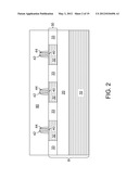 SOI RADIO FREQUENCY SWITCH WITH ENHANCED ELECTRICAL ISOLATION diagram and image