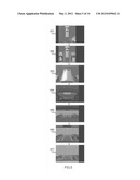 VEHICLE-MOUNTED VIDEO DISPLAY DEVICE diagram and image