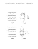 LIQUID CRYSTAL DISPLAY diagram and image