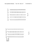 Demodulation Reference Signals in a Communication System diagram and image