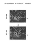 METHOD FOR DETERMINING THE STATE OF A CELL AGGREGATION, IMAGE PROCESSING     PROGRAM AND IMAGE PROCESSING DEVICE USING THE METHOD, AND METHOD FOR     PRODUCING A CELL AGGREGATION diagram and image