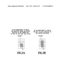 OPTICAL MODULATOR diagram and image