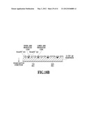 OPTICAL MODULATOR diagram and image