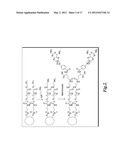 METHOTREXATE-MODIFIED NANOPARTICLES AND RELATED METHODS diagram and image