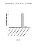 METHOTREXATE-MODIFIED NANOPARTICLES AND RELATED METHODS diagram and image