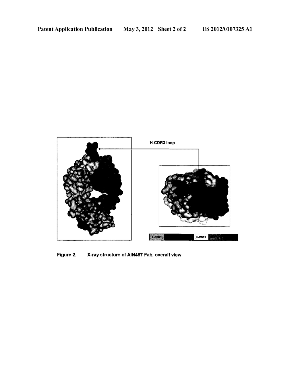IL-17 Antagonistic Antibodies - diagram, schematic, and image 03