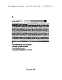 PRODUCTION OF RECOMBINANT PROTEINS IN CILIATES AND USES THEREOF diagram and image